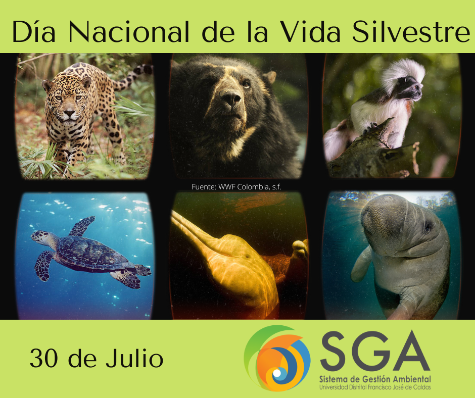 30 DE JULIO DÍA NACIONAL DE LA VIDA SILVESTRE Sistema de Gestión